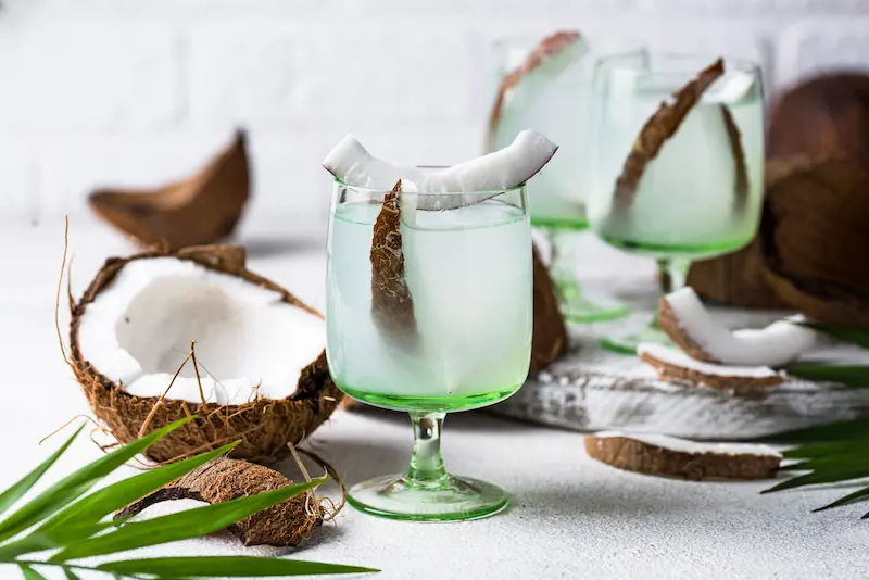 Coconut Water Diet Hydration and Wellness Guide